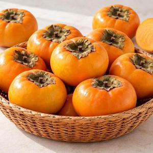 지리산 햇 단감 5kg 왕특과 22과내외
