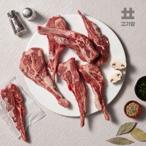 [고기앞]호주산 숙성 5-9개월미만 스프링램 양고기 양갈비 숄더랙500g+쯔란증정
