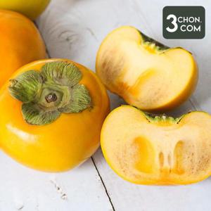 [삼촌밥먹자] 창원 이봉례님의 송본 단감(특) 5kg