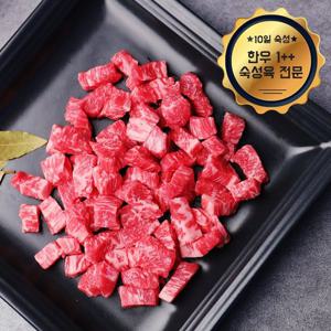 [냉장][숙성육]1++등급 숙성한우 치마양지 500g