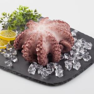 산지직송 국내산 돌문어 (고흥) 급냉 1kg 내외 (2-4미)