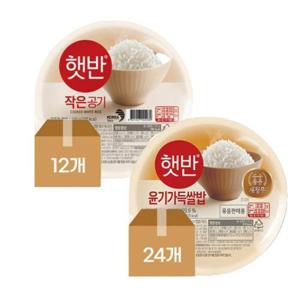 햇반 윤기가득쌀밥210gX24개+ 햇반 백미130g X12개