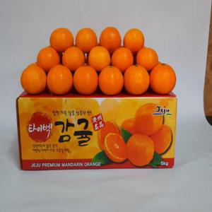 제주 타이벡 감귤 9kg 중대과