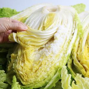 해남 GAP인증 절임배추 10kg(3~5포기)