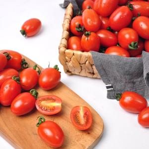 [푸르젠 토마토] 스테비아 대추방울토마토 500g x 2팩