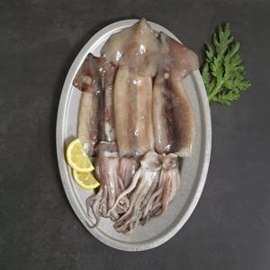 [신선급냉] 간편한 손질 통오징어 2미 350g x 5팩