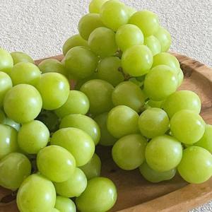 샤인머스캣 2kg 가정용 특품