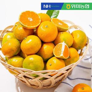 [프레시홀] 위미농협 문주왕 하우스 제주 감귤 3kg (31-50과 내외)