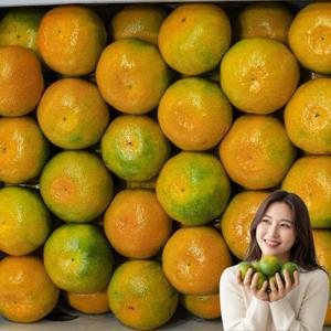 맛보장 제주 유라 감귤 로얄과 5kg