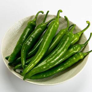 싱싱 국산 청양 고추 2kg 상 땡초 고추 청량고추 청고추 매운고추 풋고추