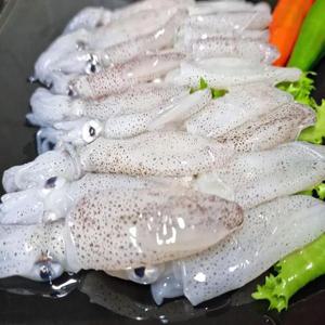 국내산 호래기 500g