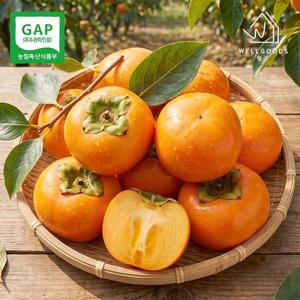 [GAP인증] 산지직송 창원 부유단감 10kg(41-46과내외,L)