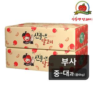 [26년햇사과][중대과] 산들앤 달코미 세척사과 3kg x 2박스(총 6kg)