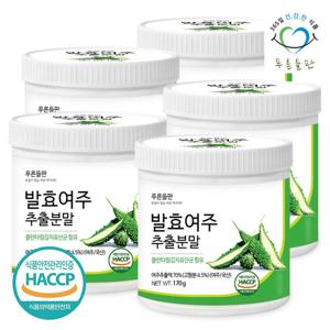 [푸른들판] 국산 발효 여주 추출물 분말 170gx5통 여주농축액 비터멜론 추출 가루 파우더