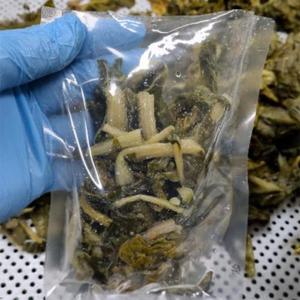 강원도 양구군 펀치볼 삶은 시래기 1kg