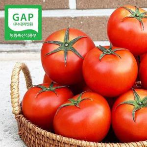 갤러리아_[GAP]경북직송 유럽종 완숙 토마토 5kg(소과,개당100이내)