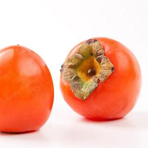 갤러리아_달콤한 국내산 대봉감 중과 10kg (36~40과)