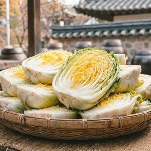 [지정일배송] 26년 해남절임배추 20kg/ 김장배추 절인배추