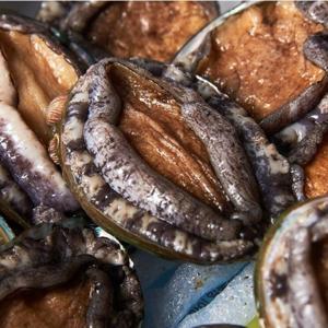 Fresh 완도산 산소포장 활전복 특대 15미 1.2kg 이상 전복칼 포함