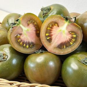 흑 토마토 1kg