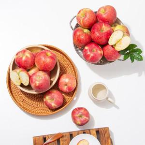 (프레시홀) 맛있는 경북 홍로 햇 사과 정품 3kg 19-21과 / 홍옥 요까 부사 시나노