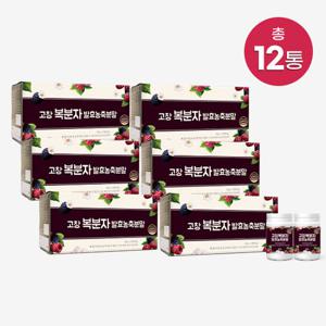 고창 복분자 발효농축분말 12통+스푼5개
