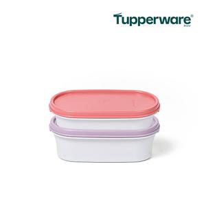 [Tupperware] 타파웨어 틴틴 도시락 세트