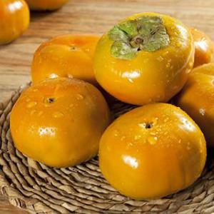 [아달달농산] 직접선별 아삭한 고당도 단감 1.5kg 3kg 5kg 햇단감