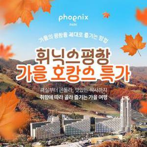 [공구특가] 휘닉스평창 객실+곤돌라부터~ 식음이용권 패키지까지 총집합 객실 PKG