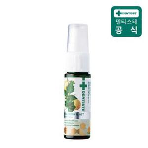 [체험특가] 덴티스테 마일드 후레쉬 블라스트 마우스 스프레이 15ml 1개(유통기한 : 2027-11-04)