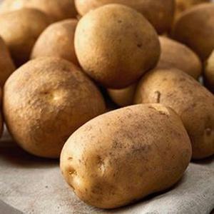 [5kg 9,200원]포슬포슬 분많은 두백감자 수미감자 대 3kg/5kg/10kg(천연 미생물 농법으로 진한 풍미, 대 100~120g)