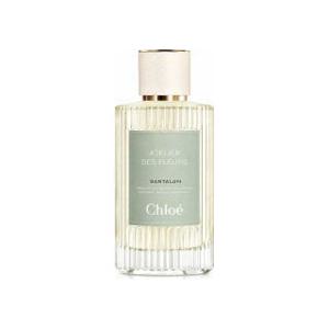 끌로에 공용 Santalum EDP 스프레이 향수 5.0 oz 프래그런스 향수 11210780