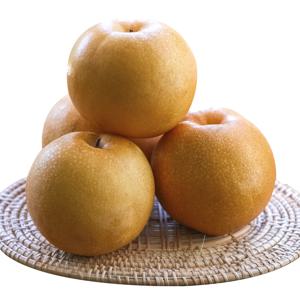 못난이 흠집 가정용 나주배 3kg(개당400-850g, 4-8개입)