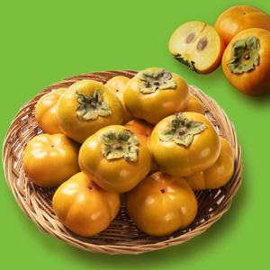 아삭달콤 창원 태추단감 중대과 1.5kg(6-8과) 산지직송