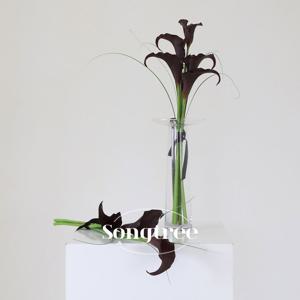 딥 퍼플 카라 조화부케 2-type