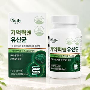 기억력 앤 유산균 두뇌 기억력 프로바이오틱스 은행잎추출물 플라보놀배당체 혈행 케어