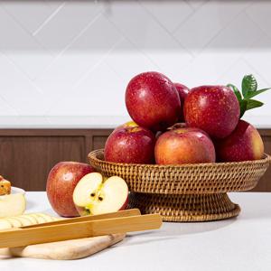 햇사과 경북직송 감홍사과 (정품) 5kg 23-28과