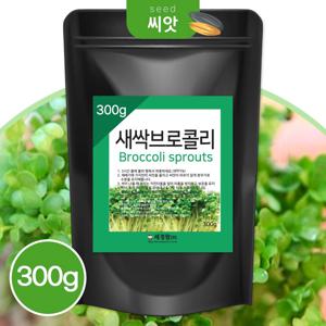 영양만점 새싹 브로콜리 씨앗 대용량 300g
