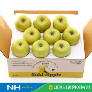 청송 시나노골드 2.5kg 10과내