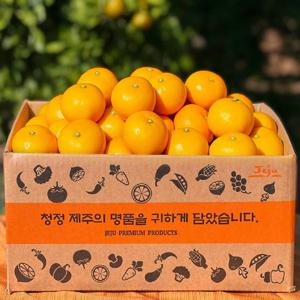 [당도선별] 제주 노지/타이벡귤 4.5kg 실중량 당도 12Brix 이상