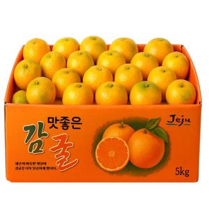 제주도 산지직송 새콤달콤 노지감귤 4.5kg 9kg 혼합(2S-M)
