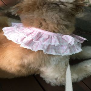 lace cape - pink check