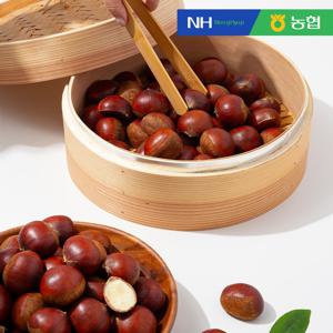 순창 햇 알밤 특 10kg
