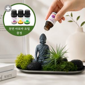 향기와 쉼을 담은 부처 테라리움 에센셜오일 이오난사 공기정화식물 집들이 개업 축하선물 힐링