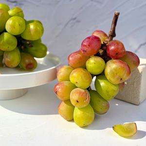 26년산 신품종 국내산 바이올렛킹 프리미엄 1kg(1~2수) 외