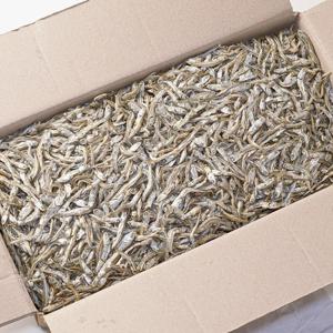 서해안 햇멸치 볶음용 멸치 건새우 1.5kg