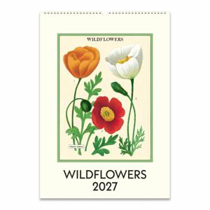 2027카발리니캘린더 Wildflowers