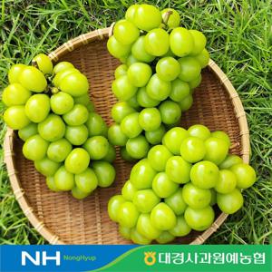 영천 샤인머스캣 2kg 3~4수