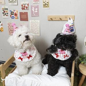 반려동물 생일 모자 케이프 세트 강아지 고양이 파티용품