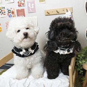 강아지 고양이 트위드 진주 케이프 블랙 화이트 반려동물 파티 목장식